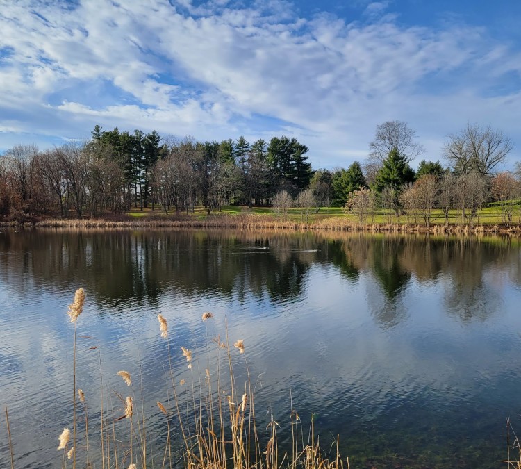 Morgan Lake Park (Poughkeepsie,&nbspNY)
